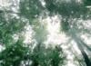 View Full Size