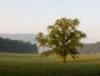 View Full Size