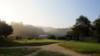 View Full Size
