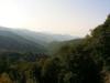 View Full Size