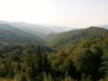 View Full Size